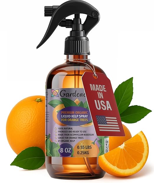 GARDENERA Professional Organic Liquid Kelp Spray for Orange Plants - 8 oz - Ready-to-Use Fully Organic Seaweed & Kelp Fertilizer Mist