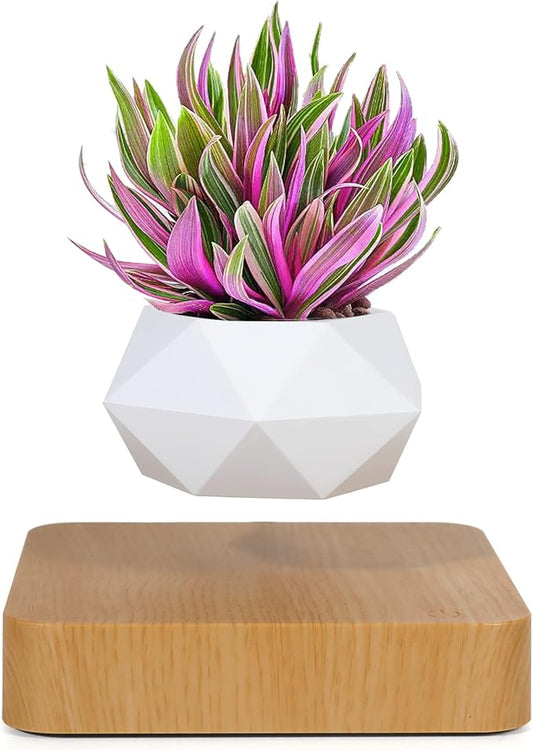 Levitating Air Bonsai Pot, Cool Stuff,Rotation Flower Pot Planters, Potted Plant Home Desk Decor in Flower Pots & Planters from Home & Garden on (Light Color)