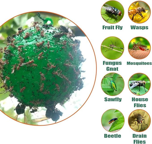 Fruit Fly Traps Ball Fly Trap Indoor, 6 PCS Hanging Bugs Sticky Ball Fly Trap Outdoor, Gnat Trap Ball for Indoor Outdoor House Kitchen Plants Trees (6PCS, Green)