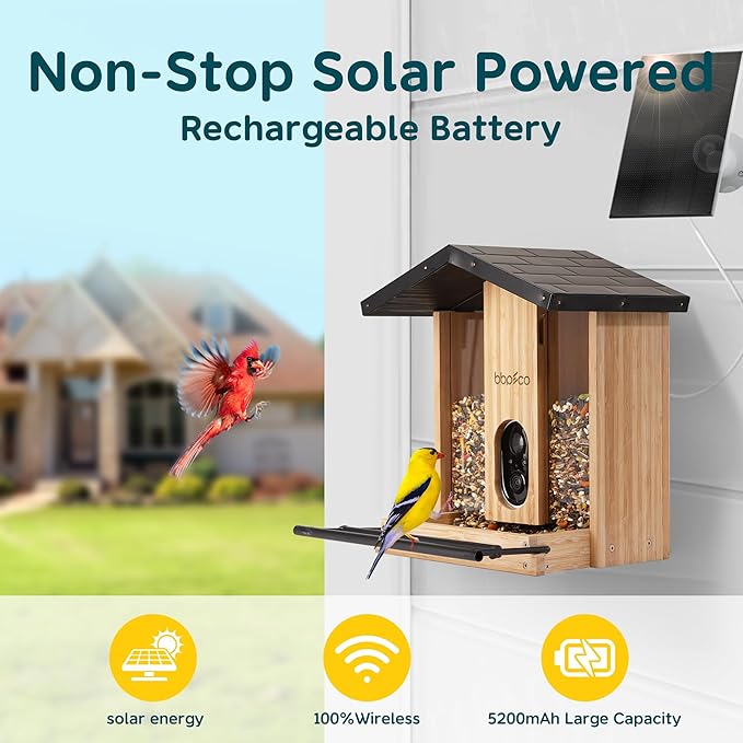 BBPECO Bird Feeder with Camera Solar Powered, Smart Bird Feeder with AI Identify for 10000 Plus Species, Auto Capture & Real-time Notifications, Ideal Gift for Birdwatching, Bamboo