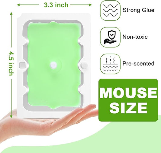 Qualirey 100 Pack Mouse Glue Trap, Super Sticky Traps Mouse Size for Mice and Rats, Pre-Scented, Non Toxic Mice Glue Boards, Rodent Sticky Pads Indoor for Home, Easy to Use, Pet Safe Pest Control