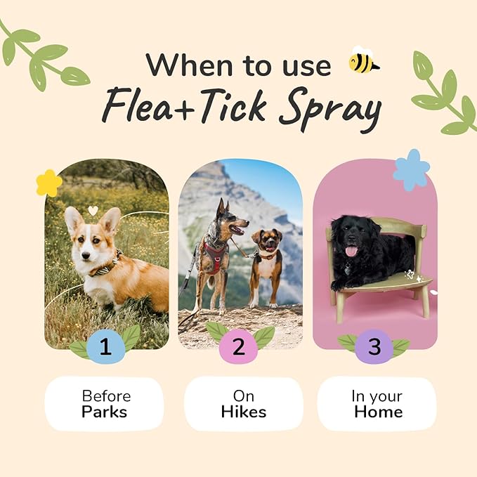 kin+kind | Plant-Based Flea and Tick Spray for Dogs (12 fl oz) | Lavender