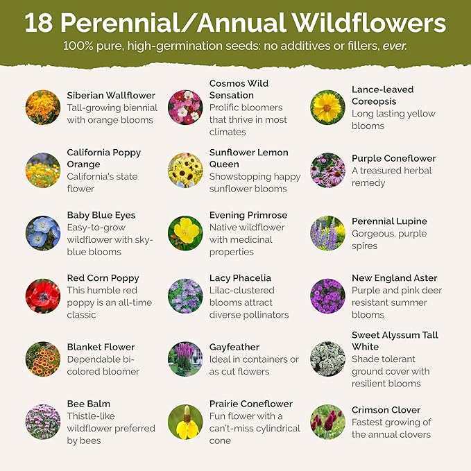 Eden Brothers Mississippi Wildflower Mixed Seeds for Planting, 1/4 lb, 120,000+ Seeds with Lupine, Sunflower | Attracts Pollinators, Plant in Spring or Fall, Zones