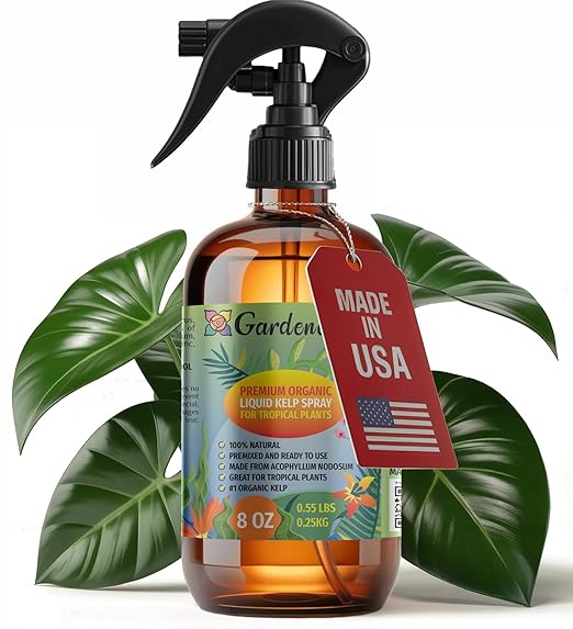 GARDENERA Professional Organic Liquid Kelp Spray for Tropical Trees Plants - 8 oz - Ready-to-Use Fully Organic Seaweed & Kelp Fertilizer Mist