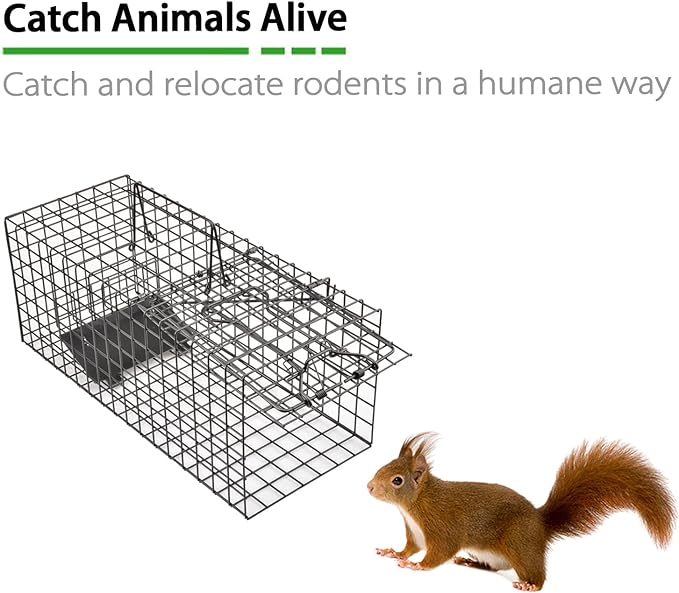 Live Squirrel Trap Heavy Duty Humane Animal Cage Trap (Not Applicable to Mice)