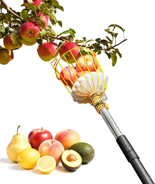 6.5FT Fruit Picker, Apple Picker Tool with Adjustable Pole and Basket, Long Reach Mango Grabber Tool, Tree Fruit Catcher for Picking Lemon Pear Orange Avocado Peach Citrus