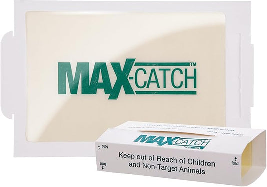 Catchmaster Max-Catch Mouse & Insect Glue Trap 72PK, Mouse Traps Indoor for Home, Sticky Pest Control Adhesive Tray for Catching Bugs, Rats & Rodents, Bulk Unscented Glue Boards