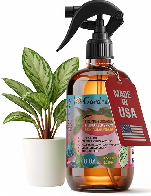 GARDENERA Professional Organic Liquid Kelp Spray for AGLAONEMA Plants - 8 oz - Ready-to-Use Fully Organic Seaweed & Kelp Fertilizer Mist