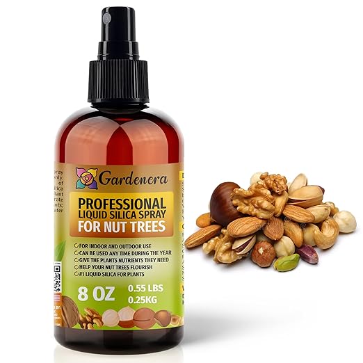 𝐒𝐔𝐏𝐄𝐑𝐈𝐎𝐑 Liquid Silica Boost Fertilizer and Supplement Spray for NUT Trees – Pre-Mixed, Ready-to-Use Liquid Silicon Plant Superfood Mist for Indoor & Outdoor Plants – 8oz