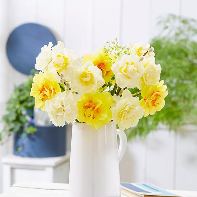 Garden State Bulb Double Mixed Daffodil Flower Bulbs, 14/16cm, Fall Planting (Bag of 50)