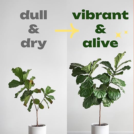 RichFarm Booster, Soil Condition Powder, Root Stimulator for Indoor or Outdoor Plant, Billion Microbes, Work with Any Fertilizer or Plant Food, Organic, Natural Plant Protector, 5 Pouch