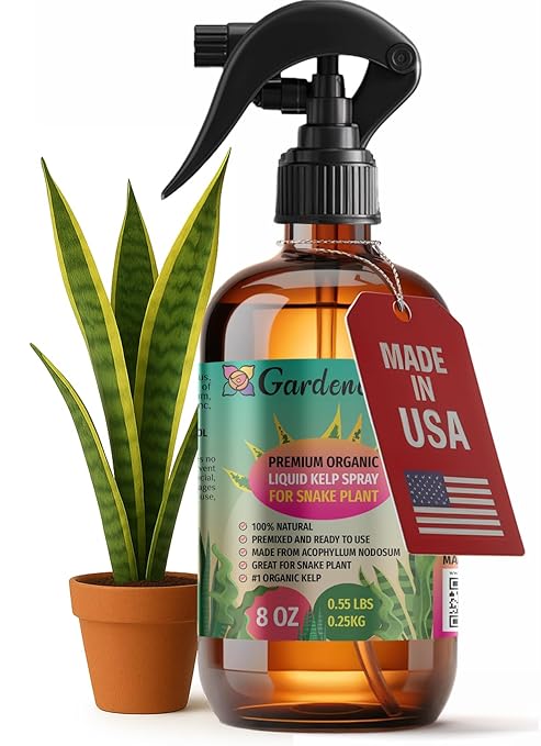 GARDENERA Professional Organic Liquid Kelp Spray for Snake Plant Plants - 8 oz - Ready-to-Use Fully Organic Seaweed & Kelp Fertilizer Mist
