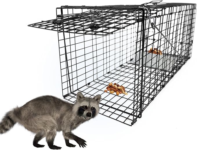 Live Humane Animal Trap, 32" x 11" x 12" Heavy Duty Humane Animal Cage Trap Catch and Release, Foldable Cat Trap for Stray Cats, Raccoons, Groundhogs, Opossums, Armadillos, and Similar-Sized Animals
