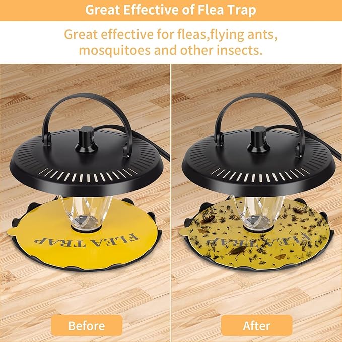 Flea Traps for Inside Your Home,New Bed Bug Trap with Light Refills and Sticky Pads,Electronic Fly Gnat Traps Indoor,Sticky Flea Bombs for Home Indoor(Black, 2 Pack)