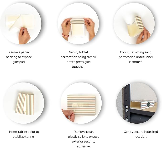 Insect Sticky Traps “BUG beds” Decorative Glue Pads, Aesthetic, Non-Toxic, Indoor, Pest Control- Mouse, Spider, Bed Bug, Cockroach, Brown Recluse, Cricket, Grasshopper, Gecko, Beetle, Scorpion