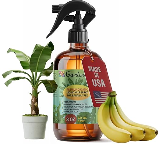 GARDENERA Professional Organic Liquid Kelp Spray for Banana Trees - 8 oz - Ready-to-Use Fully Organic Seaweed & Kelp Fertilizer Mist