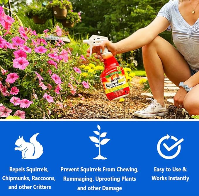 Nature's Mace Squirrel Mace, Squirrel Repellent Outdoor, 40 Ounce Spray, Squirrel and Chipmunk Repellent, Keep Squirrels Out of Your Garden, Attic, Bird Feeders, Fruit Trees, Plants, Potted Plants