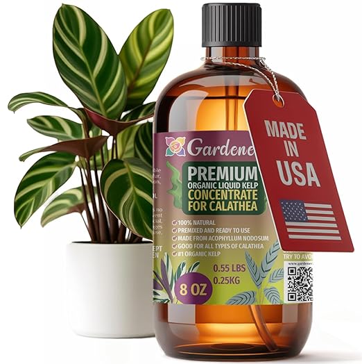 GARDENERA Premium Organic Seaweed & Kelp Superfood for CALATHEA Plants - 8 oz - Liquid Kelp Fertilizer Concentrate (Makes 45 Gallons)