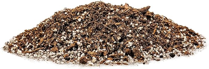 Gardenera Professional Carnivorous Plant Soil - Ready to Use for Venus Flytraps, Sundews, Pitcher Plants, Butterworts | Peat Moss, Coco Coir, Perlite - 2 Quart Bag