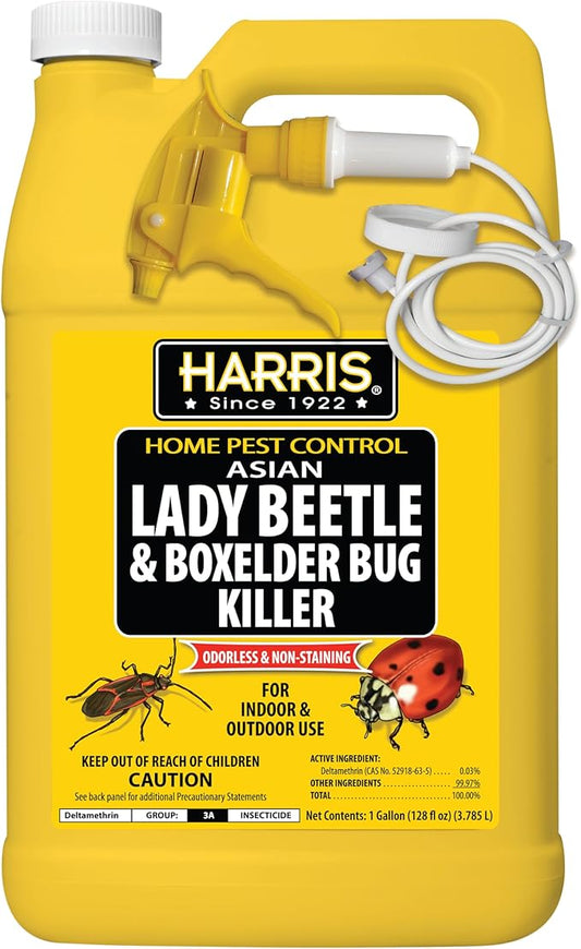 Harris Asian Lady Beetle, Japanese Beetle, and Box Elder Killer, Liquid Spray with Odorless and Non-Staining Extended Residual Kill Formula (Gallon)