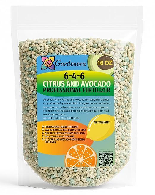 𝐁𝐄𝐒𝐓𝐒𝐄𝐋𝐋𝐄𝐑 6-4-6 Avocado Citrus Tree Plant Food for Outdoor/Indoor Gardening | Quick-Release Nitrogen Fertilizer | Orange, Lime, Avocado and Lemon Tree Fertilizer [16 OZ]
