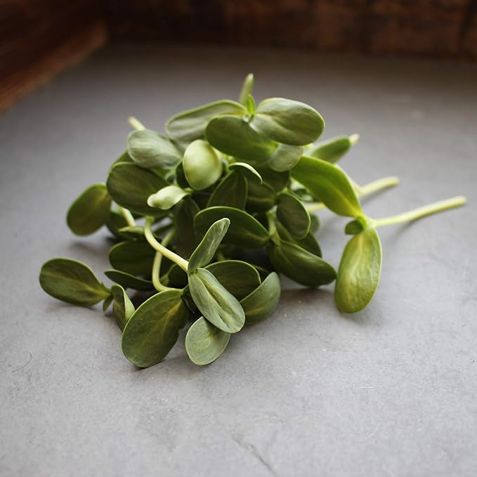 Organic Unshelled Sunflower Seed- 5 Bags Pre-Measured for a 10"x20" Growing Tray (About 2.5 Lbs) - Non-GMO Black Oil Sun Flower Seeds for Sprouts, Microgreens, More