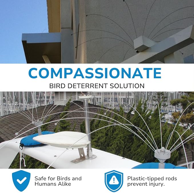 Bird Barrier Daddi Long Legs - 6 Ft | Scare Birds Away with Innovative Bird Spider Design | Bird Deterrent for Outside | Easy Installation on Roofs, Boats & HVAC Units | Durable Stainless Made in USA