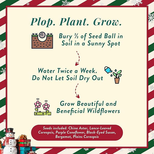 Modern Sprout Wildflower Seed Ball Poop - Christmas Gift - Non-GMO, Hand-Rolled Clay Seed Bombs with Wildflower Seeds - Plop Plant & Grow Gardening Gift Set for Kids & Adults (Jingle Plop - Pack of 3)