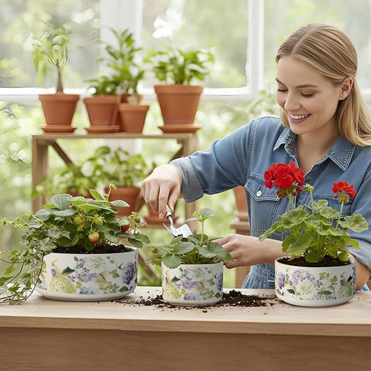Ceramic Planters Set of 3 – 5.9/4.9/ 3.9 in White Cylinder Indoor Plant Pots , Plant Pots Indoor for Olive Tree，Matte Glazed Stoneware Flower Pots for Succulent Herb Cactus (3, Ceramic White)