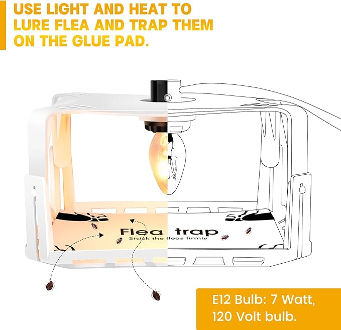 Electric Flea Traps for Inside Your Home (2 Packs), Retractable Flea Light Trap w/Sticky Fleas Trap Refill & Replacement Bulbs, Ultimate Fleas Fighting Solution.