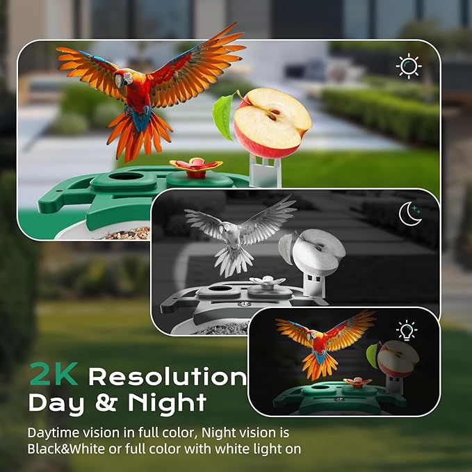 Bird Feeder with Camera, Solar Powered Outdoor Birdhouse, 2K HD AI Smart Identify Birds Species, Instant Motion Detection & Alerts, Capture BirdVideo, Gifts for Mom Dad and Bird-Lovers(Green)