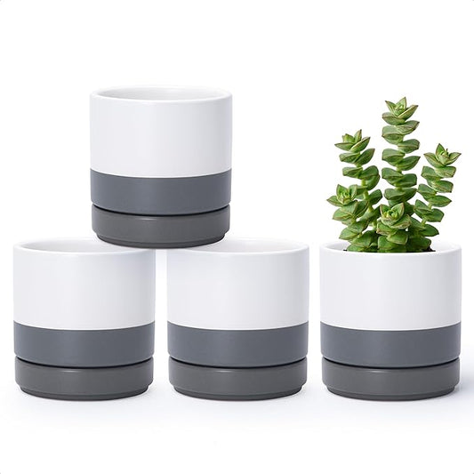 D'vine Dev Set of 4 Small Ceramic Plant Pots, 4.7 Inch Succulent Planter Pot for Plants with Drainage Hole and Saucer, White/Speckled Grey, 94-X-B-6