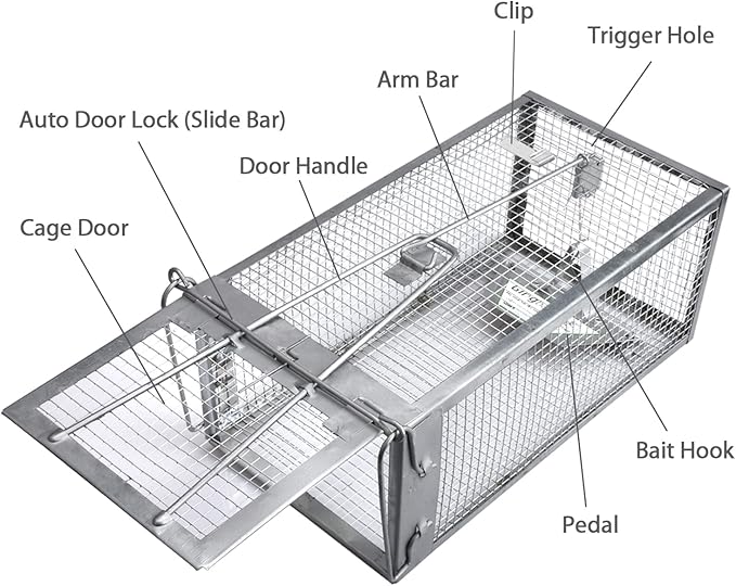 Gingbau Rat Trap Humane Live Mouse Chipmunk Trap Cage (Not for Squirrels)