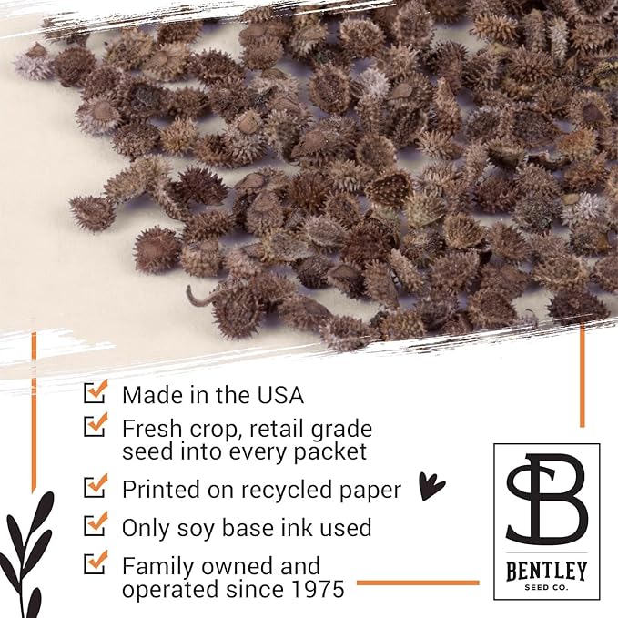 Bentley Seed Co. Thank You Packet - Help Us Grow Forget Me Not - 25 Seed Packets - Perfect Eco-Friendly Thank You Gift - Non GMO Seeds, Blue