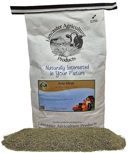 Organic Icelandic Kelp Meal Fertilizer 16 Pounds for Vegetables & Livestock, Nutrient-Rich Sustainable Fertilizer to Boost Health & Growth for Plants & Pets, Lancaster Agriculture Products