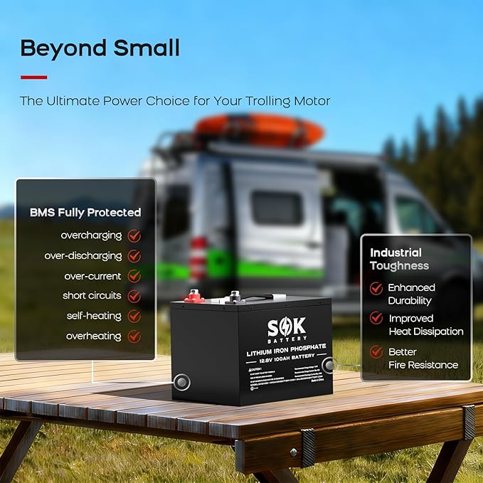 SOK Battery 12V 100Ah LiFePO4 Deep Cycle Lithium Iron Phosphate Battery, Built-in Bluetooth, Low Temperature Protection & Self Heating Function, Suitable for RV and Solar & Wind Off-Grid Use