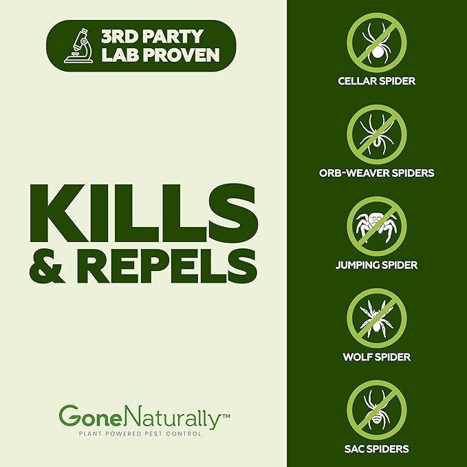Spider Repellent – Natural Peppermint Oil Spider Spray for Indoor & Outdoor Use – Spider Killer & Repellent for Home – Safe for Kids & Pets Pest Control Solution (16oz)