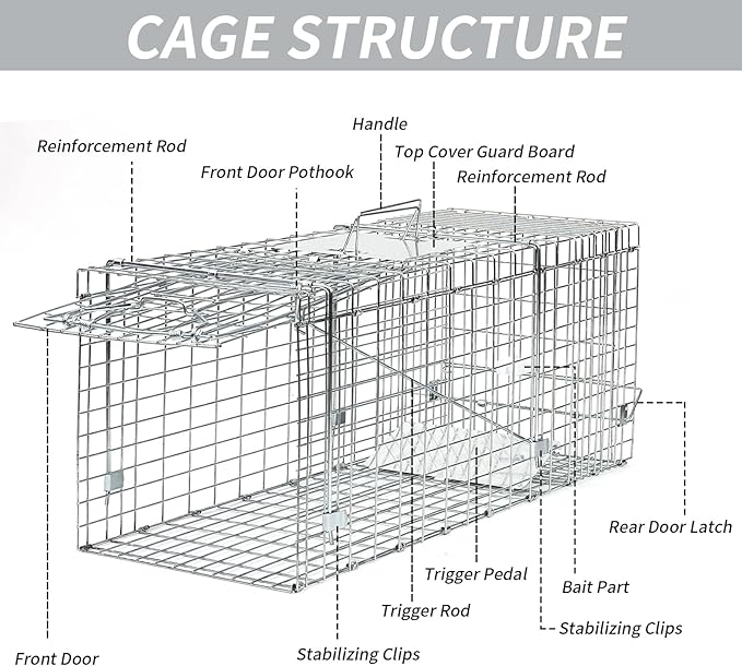 31×12×13 Inch Heavy-Duty Live Animal Cage Trap - Humane Catch & Release for Raccoons, Cats, Squirrels, Rabbits, Groundhogs - Safe & Durable Steel Construction with Secure Door Lock