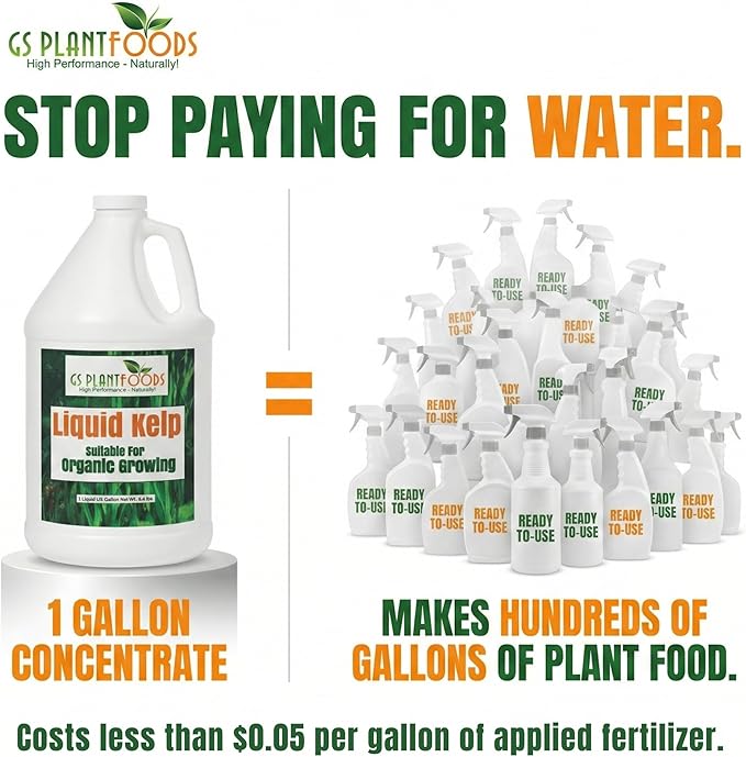 GS Plant Foods Liquid Kelp Fertilizer – Suitable for Organic Growing, OMRI Listed Seaweed Concentrate for Lawns, Gardens & Soil - 1 Quart