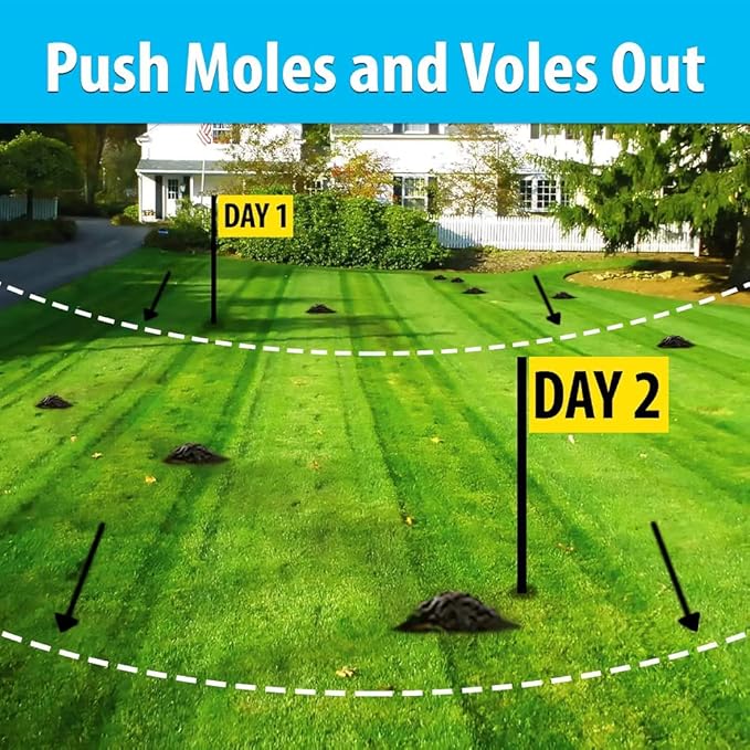 Nature's MACE Mole and Vole Mace, Mole Deterrent for Yard, 32 oz, Pure Castor Oil, Mole Repellent for Lawns, Stop Tunneling, Mole Remover Treatment, Castor Oil Repellent, People, Pet, Plant Safe