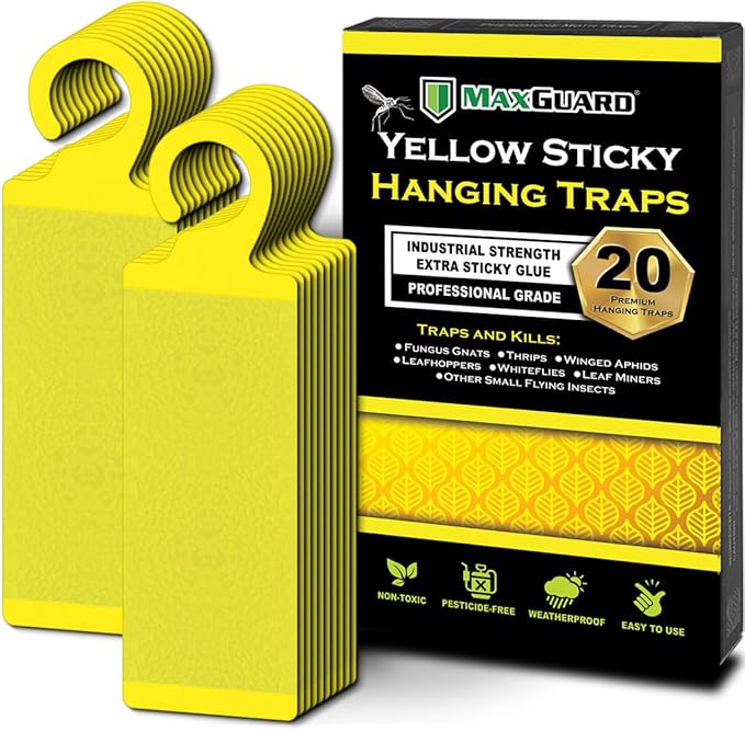 MaxGuard (20 Pack) Yellow Sticky Hanging Traps - Catch and Kill Fungus Gnats, Whiteflies, Mosquitos, Aphids, Leaf Miners, Flying Insect Catcher Glue Trappers for Indoor or Outdoor