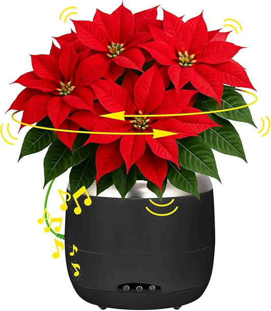 PLANTPETZ Extra Large Robotic Planter – Smart Planter Fits 6 Inch Pots | Bluetooth Speaker | Interactive Smart Plant Pot Turns A Real Plant Into a Touch/Motion Responsive Companion - Charcoal