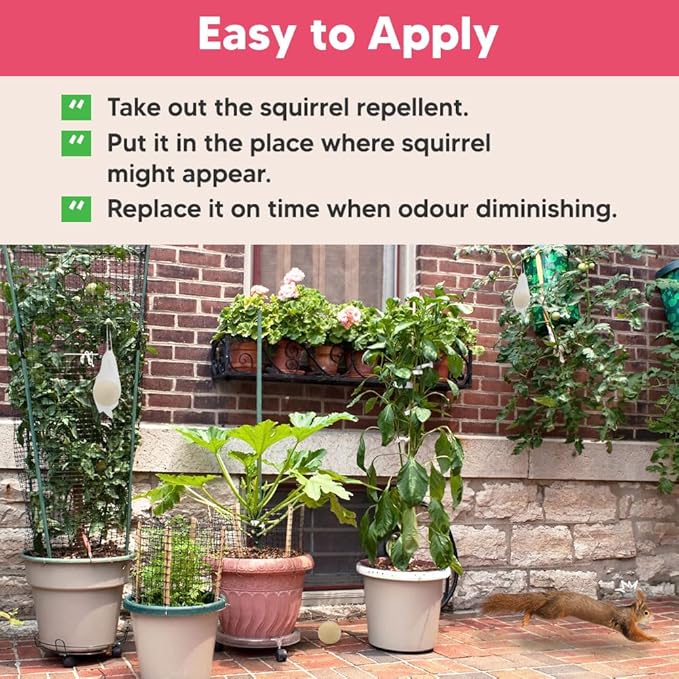 Squirrel Repellent Outdoor, Peppermint Chipmunk Repellent for Garden, Attic, Bird Feeders, Car Engines – Long-Lasting Safe Protection- 8 Packs