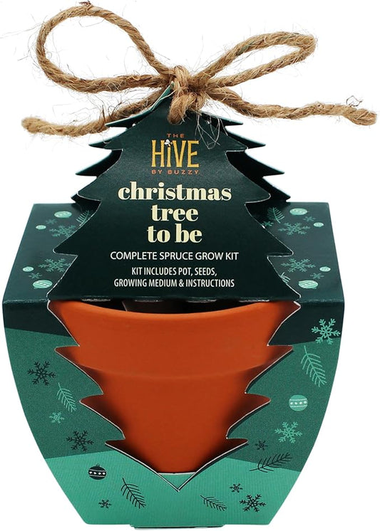 BUZZY Seeds Holiday Spruce Tree Kit 4-Pack Mini Terracotta Pots with Non-GMO Seeds and Growing Medium – Indoor Gardening Gift and Fun Stocking Stuffer for Tree Huggers, Family and Nature Lovers
