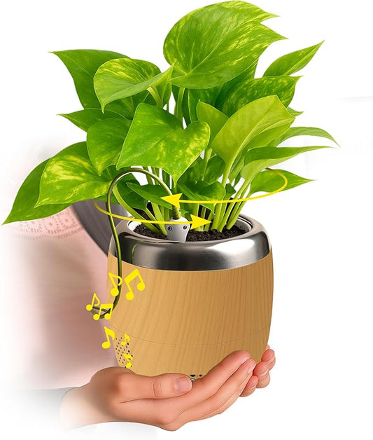 PLANTPETZ Large Robotic Planter – Smart Planter Fits 4 Inch Pots | Bluetooth Speaker | Interactive Smart Plant Pot Turns A Real Plant Into a Touch/Motion Responsive Companion - Sequoia Woodgrain