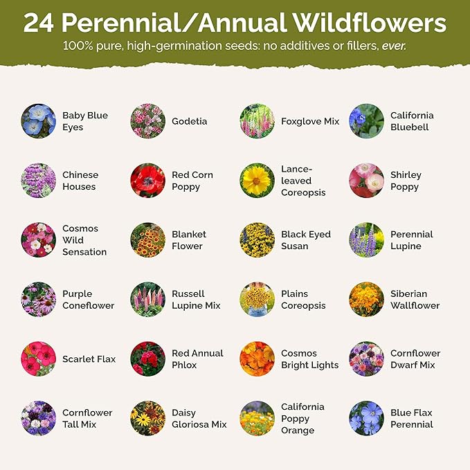 Eden Brothers Pacific Northwest Wildflower Mixed Seeds for Planting, 1 lb, 480,000+ Seeds with Cornflower, CA Bluebell | Attracts Pollinators, Plant in Spring or Fall, Zones 3, 4, 5, 6, 7, 8, 9, 10