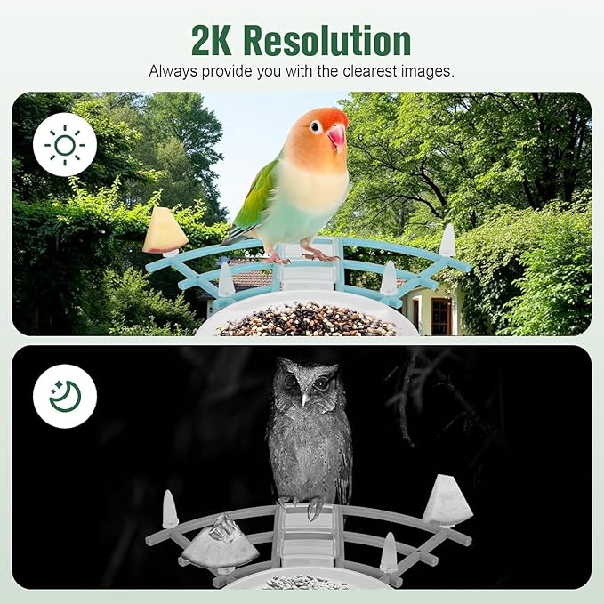 HUEVUE Bird Feeder with Camera, AI Identify Birds Species Solar Powered, Auto Record Videos in Backyard, Instant Notifications, Ideal Gift for Family and Bird Lovers