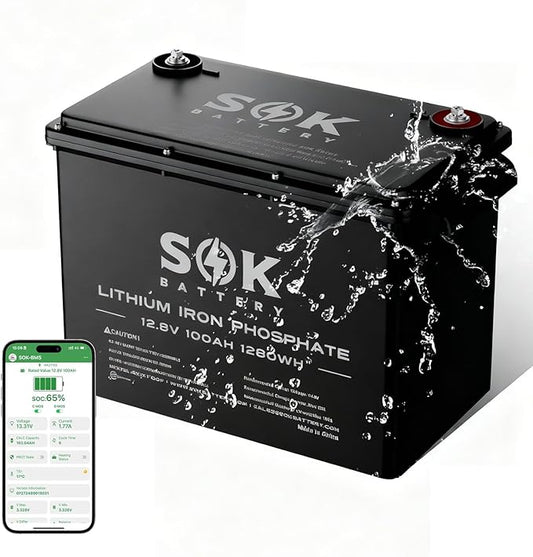 SOK Battery 12V 100Ah LiFePO4 Deep Cycle Lithium Iron Phosphate Battery with Low-Temp Protection, ABS Casing, Marine Grade IP65 Suitable for RV, Marine, Boat, Yacht, and Solar & Wind Off-Grid Use