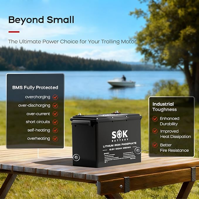 SOK Battery 100Ah 12V 2-Pack LiFePO4 Deep Cycle Lithium Iron Phosphate Batteries - Ideal for RVs & Off-Grid Use with Low-Temperature Protection, ABS Housing, Marine Grade