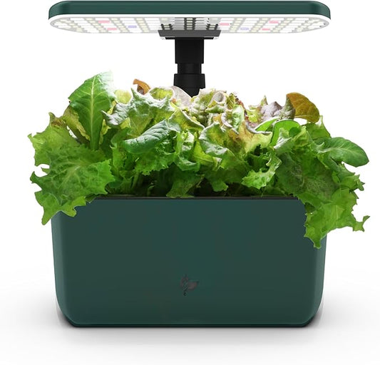 AeroGarden Harvest Lite in Green, Soil-Free Indoor Hydroponic Garden with LED Grow Light for Year-Round Gardening of up to 6 Herbs and Vegetables